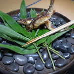 美加登家 - 塩焼き