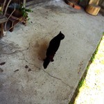 山のごはんよもぎ - ソウルちゃん♡