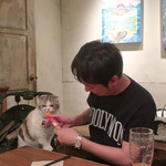 北出食堂 - ミーちゃんはチュール