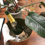 北出食堂 - ここに置いてみました