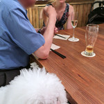 北出食堂 - アンジェリーナはボサボサ