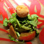 ドディチ・マッジョ - 