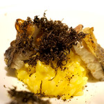 ドディチ・マッジョ - 