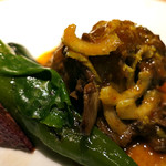 ドディチ・マッジョ - 