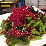 Toukyou E Ranku Niku No Fukushima - ベビーリーフ・サニーレタス・ビーツのサラダ（29しまドレ）