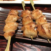 鳥ばか一代 - 