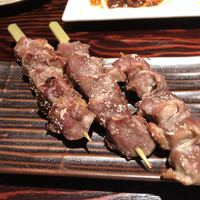 鳥ばか一代 - 