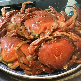 家族 子供と 浜松駅でおすすめのグルメ情報をご紹介 食べログ