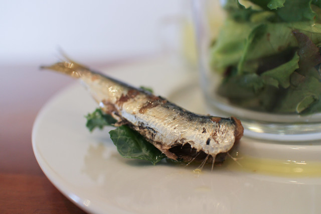 Pasta+CafeDining Sonora photo