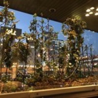 セレニティ - 店内から