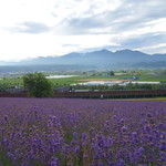 いつか富良野へ - 