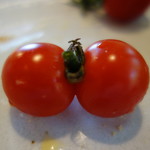 いつか富良野へ - 