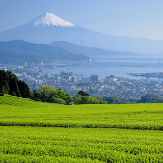 静岡県産の食材
