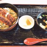 うな栄 - 料理写真:並 うな丼 鰻3切れ