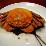 上海蟹