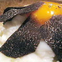 ヴィノ・ヒラタ - ③冬野菜のチーズ焼き、黒トリュフがけ