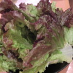 焼肉問屋 牛蔵 - 