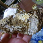 みやこや - 岩ガキ