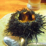 心粋厨房 獬 - お通し　殻付きウ二！