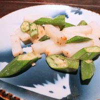 雪梅花 菜根譚 - 