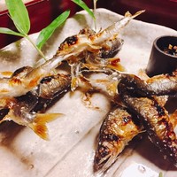 比良山荘 - 