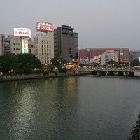 芝 - 