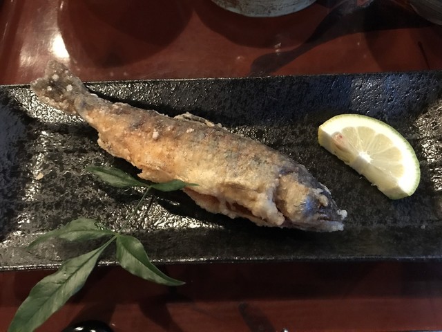 里やど 月の家 九重町その他 旅館 食べログ 里やど 月の家 九重町その他 旅館 食べログ