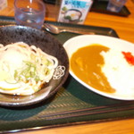 Hanamaru Udon - ぶっかけうどんとカレーライスのセット