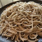 手打そば　稜庵 - 細麺です