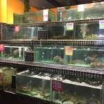 Dehappy Seafood Restaurant - 