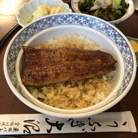 割烹 蒲焼 大沼 - 