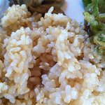 平和通り食堂 - 2011-08-13　Bランチの玄米