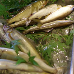 洋食 つばき - 馬瀬川の鮎