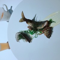 レフェルヴェソンス - 