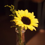 アヴァン プティ・ジョア - 机の上の花