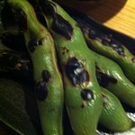 三浦 魚酒場 寅 - 