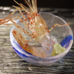 Shinya Sushi - 