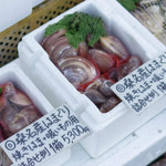 貝増商店 - 桑名産はまぐり