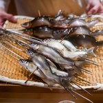 銀座 しのはら - 