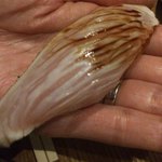 焼肉いぐち - 肉寿司を手渡しで