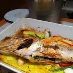 バイソン - Ortonala: Aug. 2011