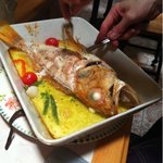 バイソン - Ortonala II