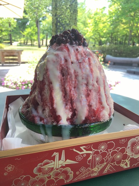 腰掛庵 - 天童南（かき氷）の写真