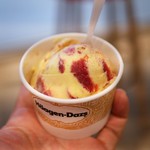 Häagen-Dazs - 