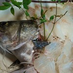 ゆきや荘 - スズキのお刺身