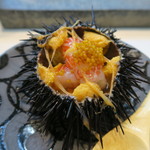 寿司栄 - 30年8月　ムラサキウニ、縞海老