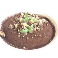 ラ ベデュータ - 
