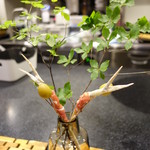 セララバアド - イケバナ　ハモン