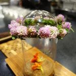 セララバアド - 花蜜