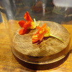 セララバアド - 花蜜